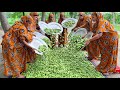 Pointed Gourd Fry Khichdi POTOL Vaji Recipe Delicious Village Food Cooking For 350 People