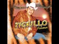 El Tigrillo Palma - El Mandilón