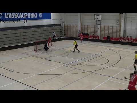 SBS Wirmo 2 - Koovee Punaiset C-tytöt LR/SS, lohko B, 26.1.2020