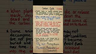 Carbon cycle GCSE Biology notes