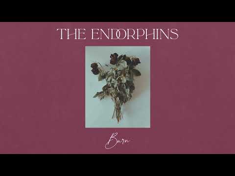 The Endorphins - Burn (Instrumental)