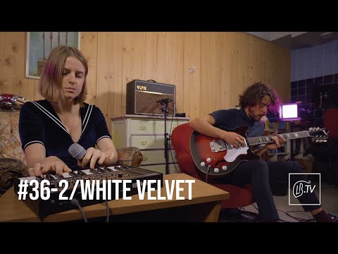 WHITE VELVET - Morning Swim | LBTV Live Session #36