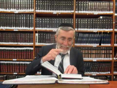 הרב יהושע ביבי - תשפ"ו - פסח - שיעור מס'' 028 - מח' הרש''ש והרד''ם בקט''ב דאבא ובקרבן אהרן אות ט
