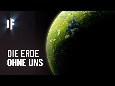 Was passiert, wenn plötzlich alle Menschen verschwinden würden?