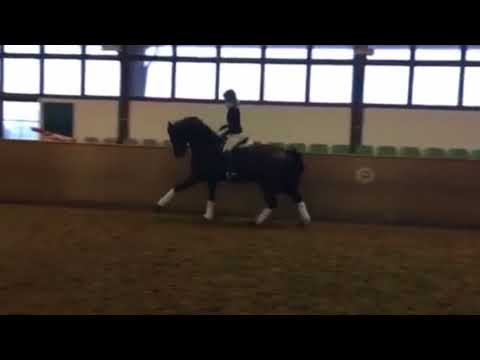 San Amour x Diamond Hit