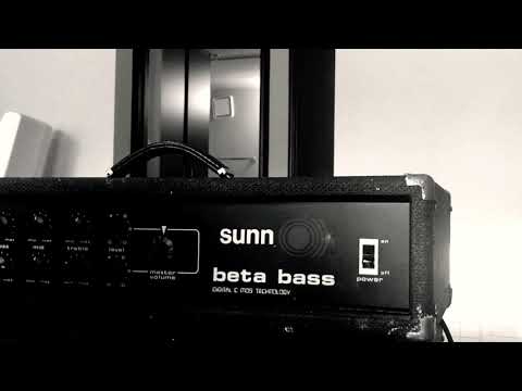 Sunn Beta Bass cabinet with original speaker image 6