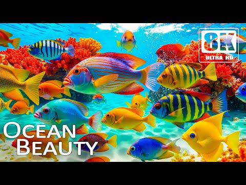 🌊 8K Underwater Paradise - Colorful Ocean Life, Coral Reefs & Soothing Music for Relaxation