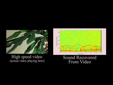 What is graphics research at Cornell? Research Highlight