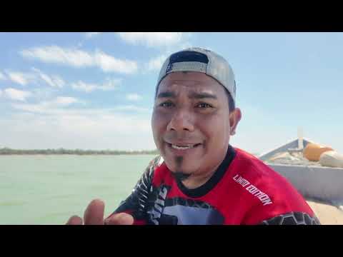 KAMI TURUN LAGI MENCARI IKAN TAMOK DAN TERUS MASAK LEMAK CILI PADI..!!!