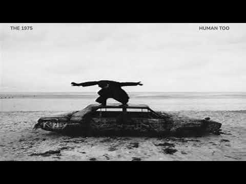 Human Too - The 1975