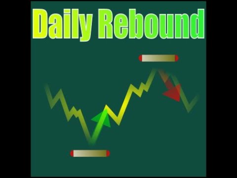 Video DailyRebound Portfolio Trader
