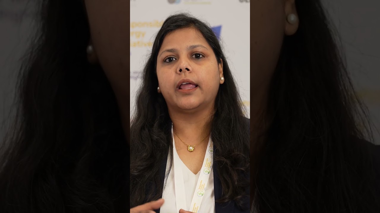 How Can Responsibility Be Embedded Across the Renewable Energy Value Chain?