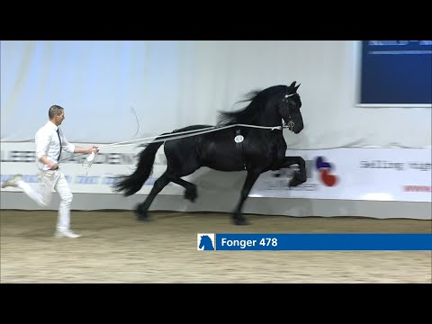 Alwin 469 en Fonger 478 naar de kampioenskeuring rubriek 2