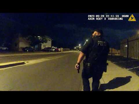 Police Ambushed in Drive-By Shooting