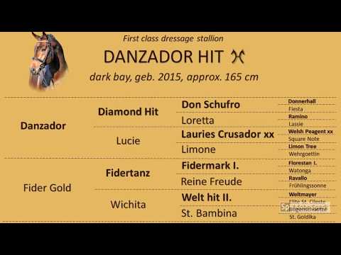 FOR SALE! - 4 years old elite dressage stallion - Danzador Hit