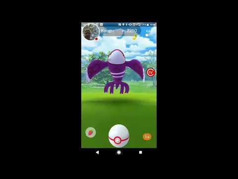 Aceitando o desafio do Casal 40! Capturando Kyogre Shiny com uma pokebola! #DesafioBolaUnica
