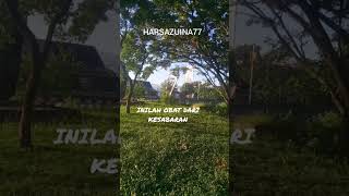 Download lagu THIS IS THE MEDICINE FOR PATIENCE, IT IS TO BE SILENT A LOT #lifemotivation mp3