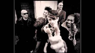 Stereo Mc&#39;s I&#39;m a believer