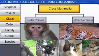 CBSE Class 11 Biology || The Living World || Full Chapter || By Shiksha House