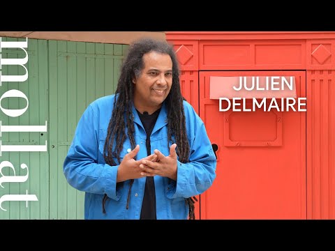 Julien Delmaire - La joie de l'ennemi