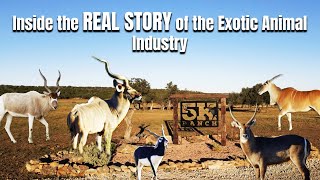 Download lagu Inside the REAL STORY of the Exotic Animal Industry mp3