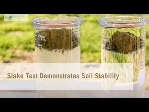 Slake Test Demonstrates Soil Stability