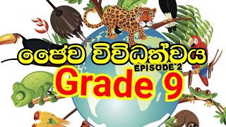 Grade 9 science  bio diversity