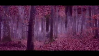 low - lullaby (hector vaé &amp; strngr. bootleg)