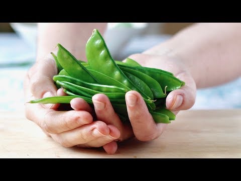 download lagu mp3 mp4 Snow Peas For Baby, download lagu Snow Peas For Baby gratis, unduh video klip Snow Peas For Baby