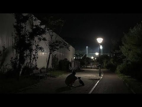 The Night We Met - Lord Huron (slowed + reverb)