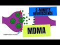 2-Minute Neuroscience: MDMA