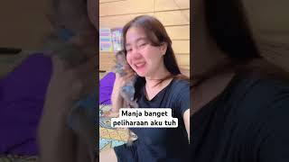 Download lagu A place to joke mp3