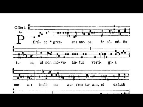 Dominica VI post Pentecosten (VI Sunday after Pentecost) - Offertorium (Perfice gressus)