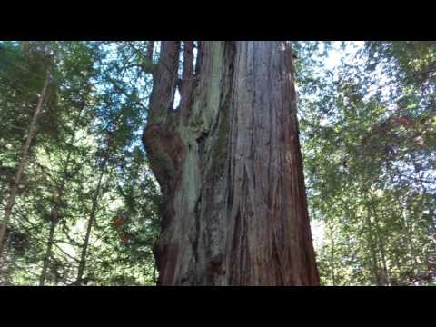 The Gift of Relaxation