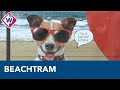 Zeegeluiden en zomerse muziek in beachtram Scheveningen