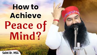How to Achieve Peace of Mind | Live from Barnawa, UP | 19th October 2022 | Saint Dr. MSG Live