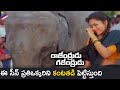 Elephant Saves Soundarya From Goons Rajendrudu Gajendrudu Movie Scenes Rajendra Prasad