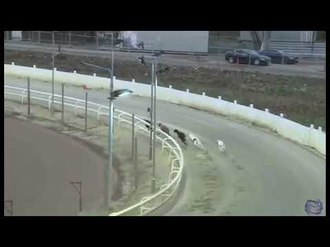 Signet Otis - The Seventy Sixth Two Year Old Produce Stakes 2022 - Track Record