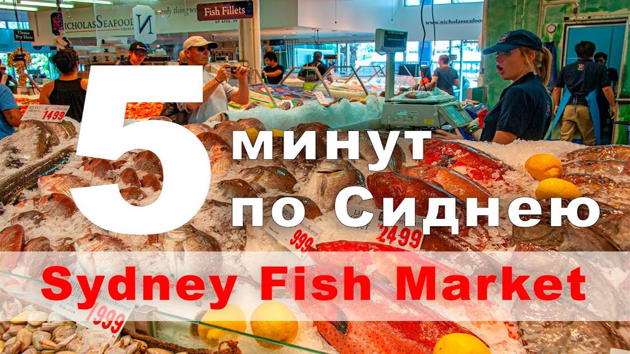 5 минут по Сиднею. Рыбный рынок.