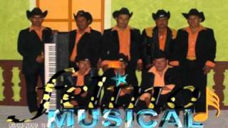 Felino Musical