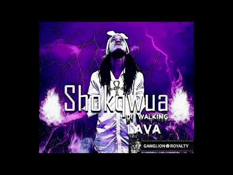 Shokqwua-Iron Jet[Watch Di Vibes Riddim]prod by.100 spitta