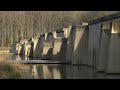 In dit bos in Noordoostpolder werden de Deltawerken voor een flink deel ontwikkeld