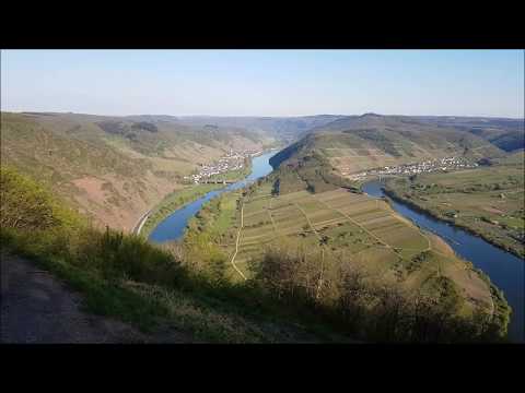 Moselsteig: Neef - Ediger-Eller, Aussichtspunkte