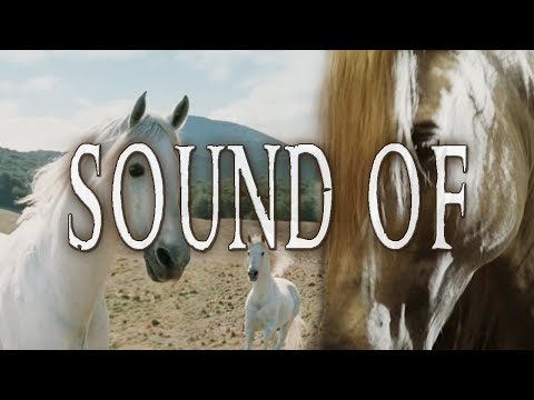 Lord of the Rings - Sound of the Mearas