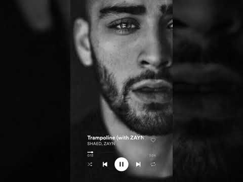 SHAED whatsapp status#zaynmalik#trampoline#shorts