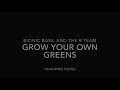 Basil The B Team Gardening With Cats Grow Your Own Greens