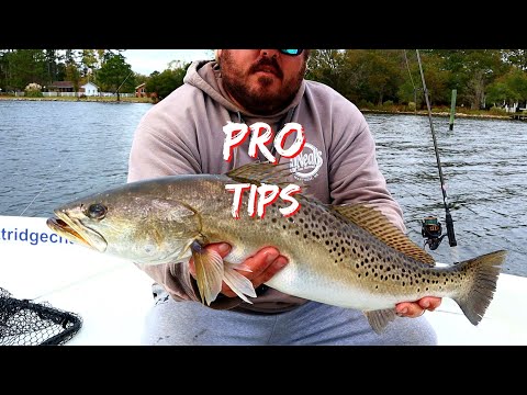 Fishing Adult Sea Trout on YouTube