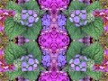 Crosscut Saw (by Eric Clapton live at the Fillmore, San Francisco 1994)