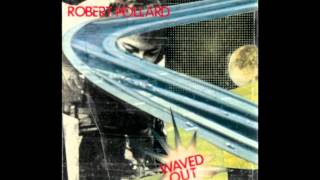 Robert Pollard - Wrinkled Ghost