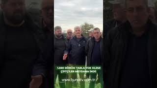 🚨 BURSA’DA ÇİFTÇİLER AYAĞA KALKTI!  #Bursa #Mudanya  #NilüferÇayı #Çiftçi #Tarım